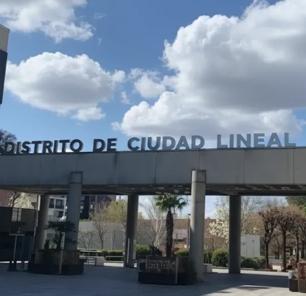 Distrito de ciudad lineal